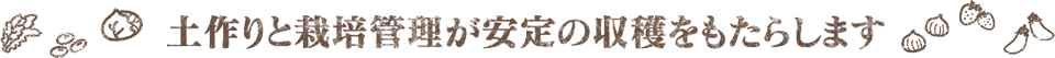 土作りと栽培管理が安定の収穫をもたらします