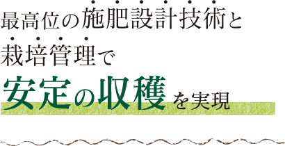 最高位の施肥設計技術と栽培管理で安定の収穫を実現